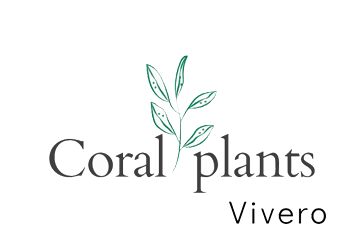Coral Plants Vivero